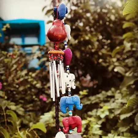 Dimitri Ada Evi & Restaurant Pensjonat