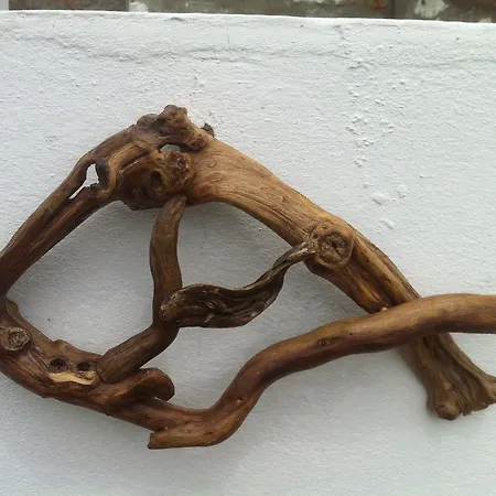 Dimitri Ada Evi & Restaurant