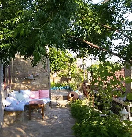 Pensjonat Dimitri Ada Evi & Restaurant 3*