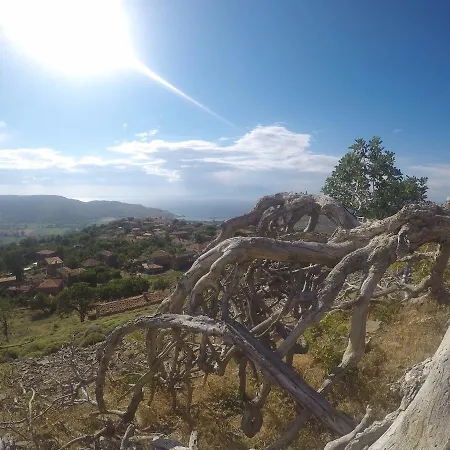 Dimitri Ada Evi & Restaurant