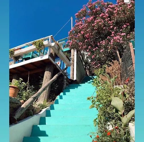 Dimitri Ada Evi & Restaurant 3*