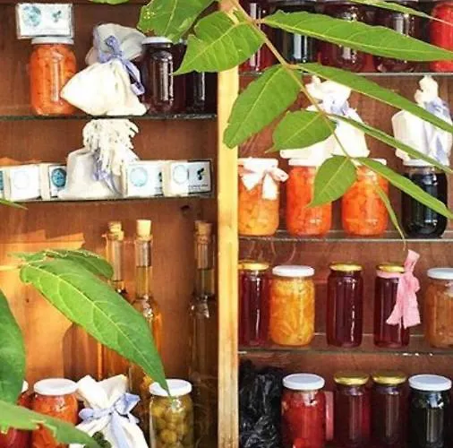 Dimitri Ada Evi & Restaurant Pensión