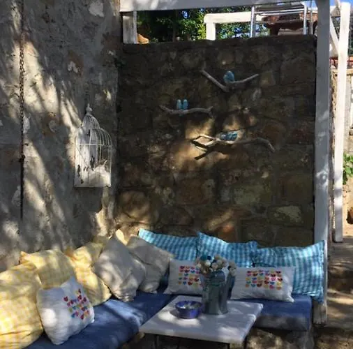 Dimitri Ada Evi & Restaurant 3*