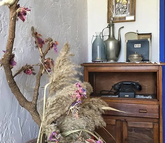 Pensión Dimitri Ada Evi & Restaurant İmroz