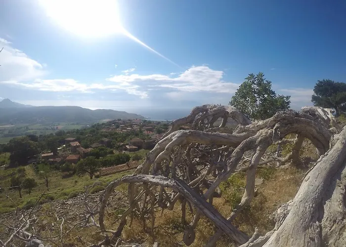 Dimitri Ada Evi & Restaurant